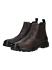 Geox Stiefelette in Coffee