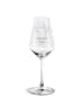 Mr. & Mrs. Panda Glas mit Gravur Kaktus Luftballon ohne Spruch in Transparent