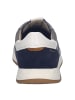 Josef Seibel Sneaker in blau