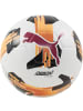 Puma Fußball "Orbita 5 FUSION Lite 350" in Weiß