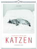 ars vivendi Kalender - Katzen - Literarisch durchs Jahr 2026