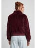taddy Women Jacket in Burgundy