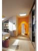 paulmann LED Panel Lunar