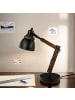 Licht-Erlebnisse Tischlampe (B)12.5 x (L)52 x (H)28 cm in Schwarz Natur