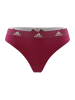 adidas Tanga Realasting Cotton in Bordeaux