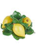 Butlers Kerzenhalter LEMON Zitronen in Gelb