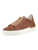 ara Sneaker in Mocca