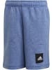 adidas Shorts für Mädchen in uni