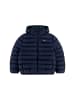 Lacoste Jacke in dunkelblau