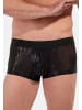 HOM Retro Short / Pant Strip in Schwarz
