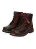 DOCKERS Stiefelette in Cognac