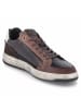 Bullboxer Low Sneaker in braun