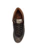 Cetti Sneaker Ante Nilon in Braun