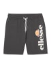 ellesse Shorts in Dunkelgrau