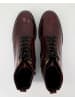 Gabor Comfort Klassische Stiefeletten in Bordeaux