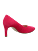 Gabor Klassische Pumps in Pink