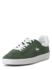 Lacoste Sneaker in grün