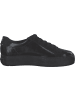 Paul Green Schnürschuhe in Schwarz
