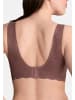 Anita Bralette Essential Lace in Berry