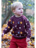 Little Green Radicals Bio-Steppsweatshirt in Braun