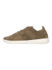 Lacoste Sneaker  in Grün