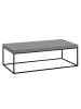 FineBuy Couchtisch in Grau / MDF / 120x60x38