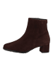 HASSIA Stiefelette in Chocolate