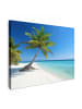 MuchoWow Leinwand bilder Palme (BxH)
