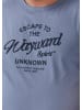 s.Oliver T-Shirt in 53D1_blassblau