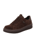 Legero Sneakers Low REJOISE in Corvino Braun