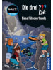 Kosmos Buch - Die drei ??? Kids, 105, Fiese Fälscherbande