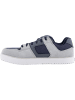 DC Halbschuhe Pure Safety in grau/blau in grau/blau