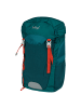 BAAGL Rucksack Tracker in Grün Verde - 26x42x13cm