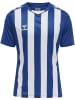 Hummel Sportshirt in Blau