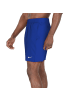 Nike Badeshorts 7" Volley Shorts in Blau