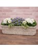 AltoBelli Blumentopf PERUGIA Beige Grau Zement Rechteckig 32x10 cm