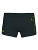 Arena Scratchy Swim Short in Anthrazit