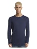 Tom Tailor Pullover in Blau