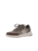 Geox Sneackers U in Dove Grey/Dk Brown