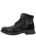 Camel Active Stiefelette in schwarz