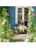 relaxdays Rosenbogen in Schwarz - (B)100 x (H)230x (T)40 cm