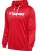 Hummel Hummel Kapuzenpullover Hmllogo Erwachsene in TRUE RED