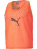 Puma T-Shirt "Bib" in Orange