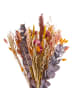 Butlers Trockenblumen FLOWER MARKET Blumenstrauß in Multicolor