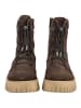 Nero Giardini Stiefelette in Dunkelbraun