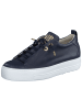 Paul Green Sneaker in blau