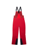 Berghaus WMTN ARETE DESCEND GTX BIB PANTS in Rot