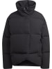 adidas Winterjacken in black