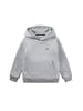 Lacoste Hoodie 'LCB Core' in grau
