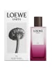 Loewe Loewe Earth Elixir Eau de Parfum 100 ml